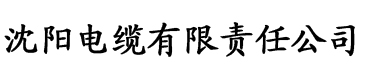 大香蕉高清在线电缆厂logo